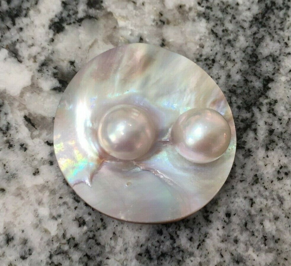 Gorgeous Double South Sea Mabe Pearl in Shell
