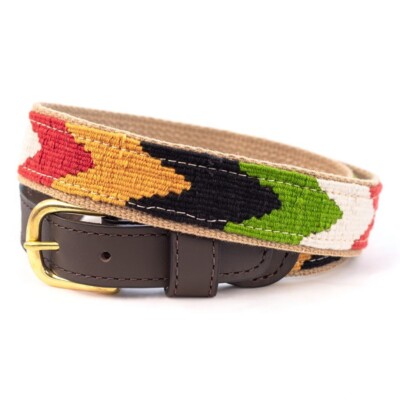 A Tail We Could Wag Cotton &Leather Belt-Classic Belt with Brass Buckle, Chevron