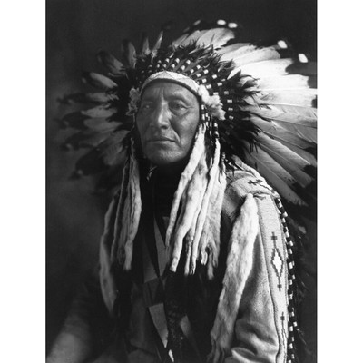 Reed Native American Chief Full Headdress Old Photo Wall Art Print Framed 12x16