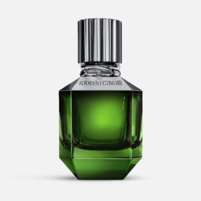 Roberto Cavalli Men's Paradise Found EDT Spray 1.69 oz Fragrances 3614228954051