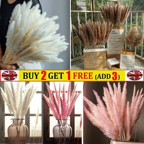 15x Deko Pampasgras Bündel Kunst Gräser Getrocknete Blumen Pflanzen Natürlich