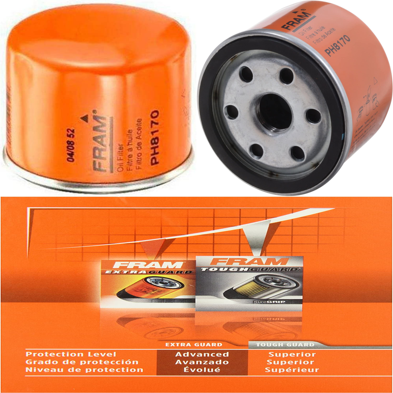 PH8170 Oil Filter