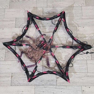 JMC Impact Halloween Decor UL Lighted Spider Web W/Spider 
