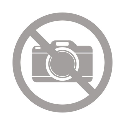 Norton EXPERT Hartmetallscheibe für Holz, Beton & Leichtbaustein 125x17x22.23mm