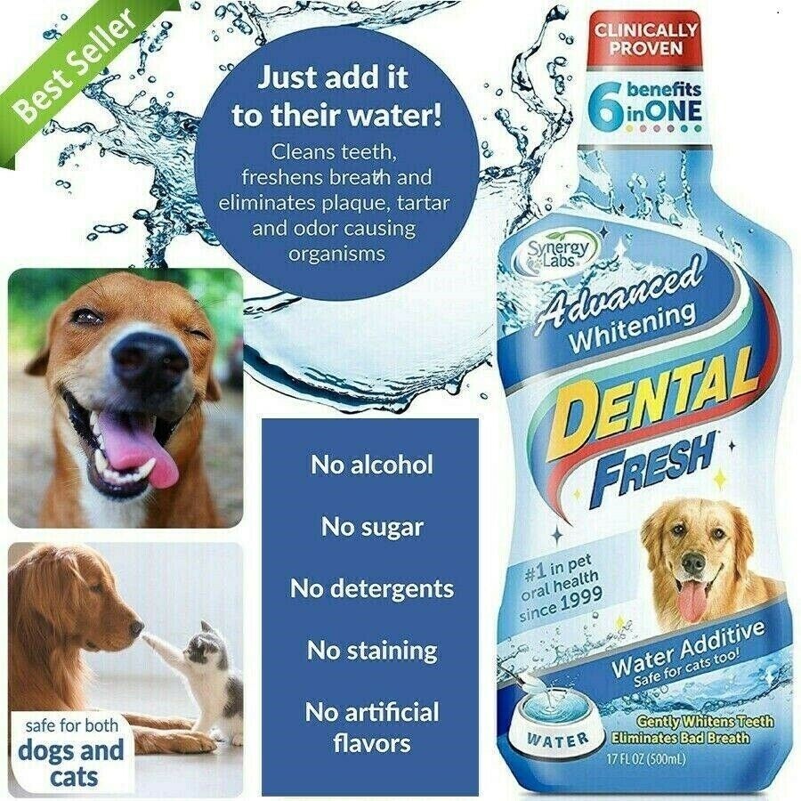 Dental Fresh Whitening Water Additive Original Formula ...