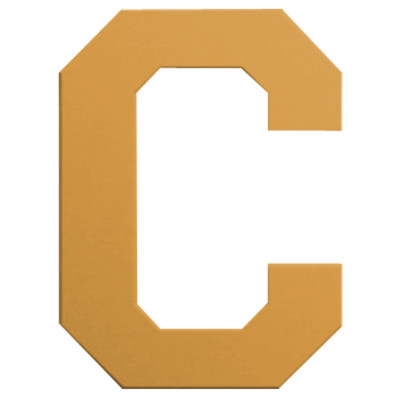 A C Device Bronze (unmounted)