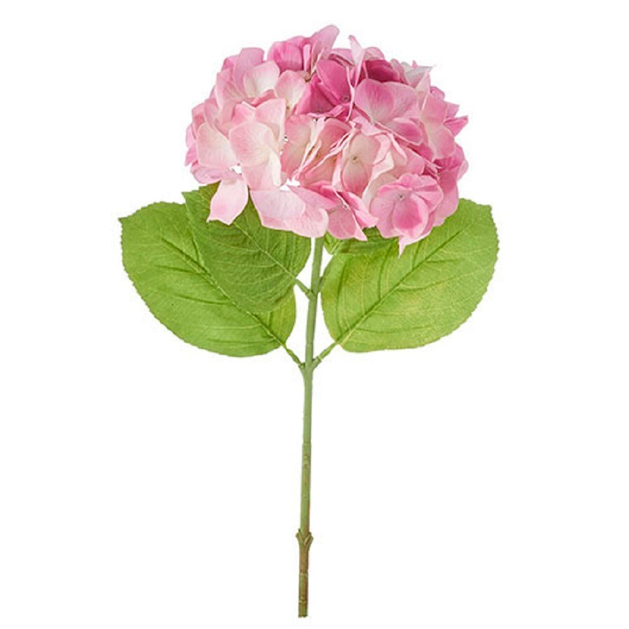 コレクション Hydrangea4937 Hydrangea Cylinder Centerpiece | Marco Island Florist (FL