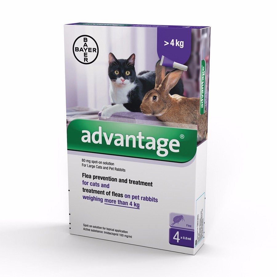 Advantage Flea Treatment for Cats & Rabbits over 4kg 8 pipettes in Poole, Dorset Gumtree