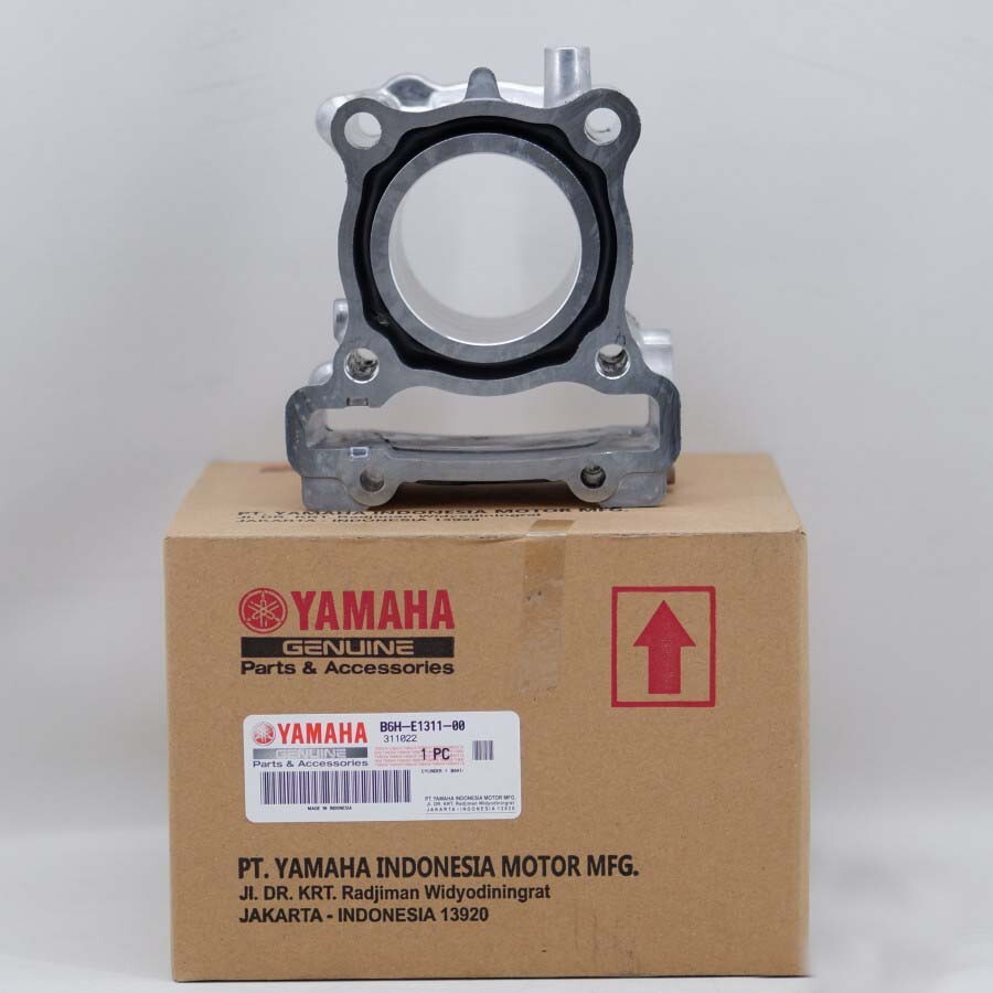Genuine Parts Yamaha NMAX 150/155 2022-2024 Cylinder Block Assy B6H-E1311-00