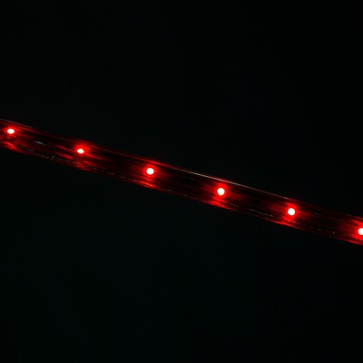 Gemmy LightShow 96-Count 10-ft Constant Red LED Flex Christmas Rope Lights
