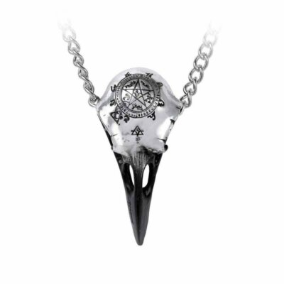 Alchemy Gothic Volvan Ravenskull Unisex Pewter Pendant Necklace   Local Stock...