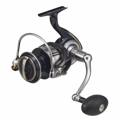 Daiwa CERTATE SW 8000-H (Offshore Jigging Reel) | eBay