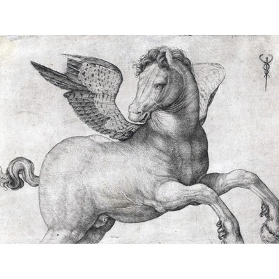Debarbari Pegasus Mythical Creature Engraving Canvas Wall Art Print Poster