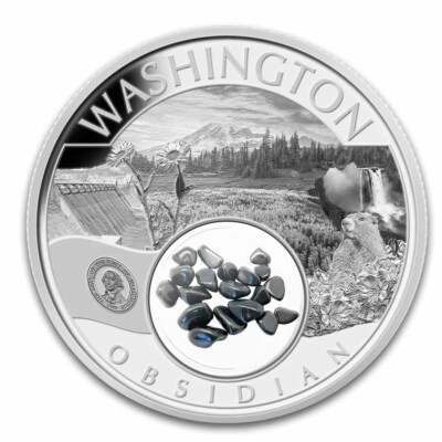 2015 North American Coins & Prices 第24版 2024 $1 1-oz Silver Eagle BU Clad w/24-Karat Gold | GovMint