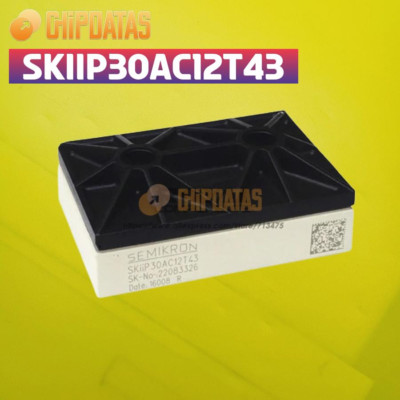 1PCS SEMIKRON NEW SKIIP30AC12T43 IGBT Module Best Quality Assured