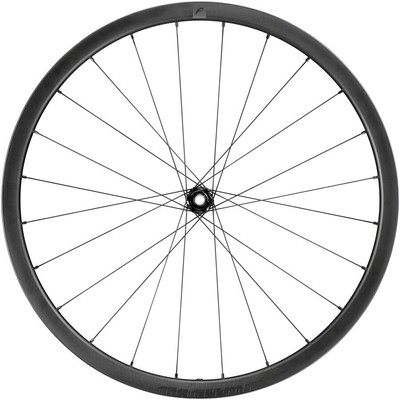 Fulcrum Rapid Red Carbon DIMF Front Wheel 700c 12x100mm Center Lock TCS Black
