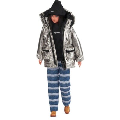Sekiguchi Momoko Pet Works SUPREME Silver Puffer Jacket with Hood Logo