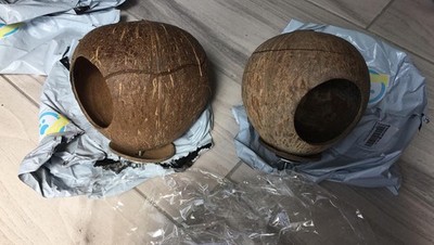 Artikelfoto(s) von einem verifizierten Käufer