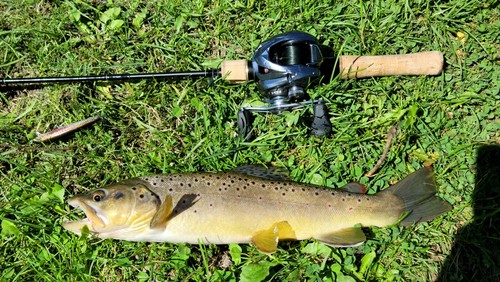 Shimano CARDIFF NATIVE SPECIAL B47UL-3 Baitcasting Rod for