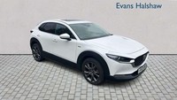 2021 Mazda CX-30 2.0 Skyactiv X MHEV 100th Anniversary Edition 5dr Hatchback Pet