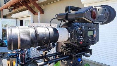 Photos de l'objet d'un acheteur vérifié