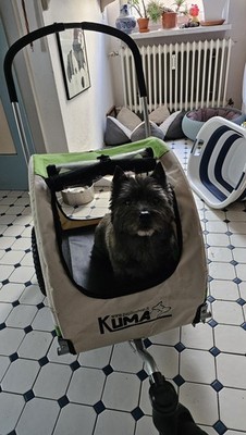 Artikelfoto(s) von einem verifizierten Käufer