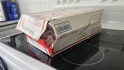 Photos de l'objet d'un acheteur vérifié