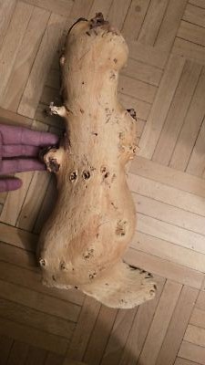 Fotos del artículo de un comprador verificado