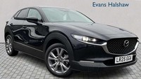 2025 Mazda CX-30 2.5 e-Skyactiv G MHEV 140 Exclusive-Line 5dr Auto Hatchback Pet