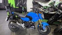 Honda MSX125, 2025 model