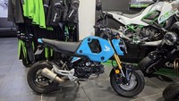 Honda MSX125, Honda GROM 125