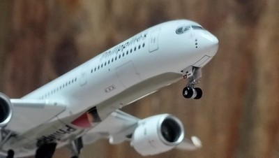 Photos de l'objet d'un acheteur vérifié