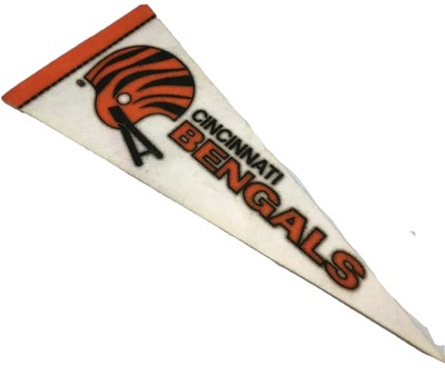 Seattle Seahawks Official Super Bowl 48 Champion 29 Pennant by Wincraft