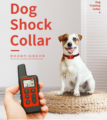 Electronic dog store training devices