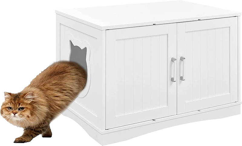 Enclosure Furniture Box House