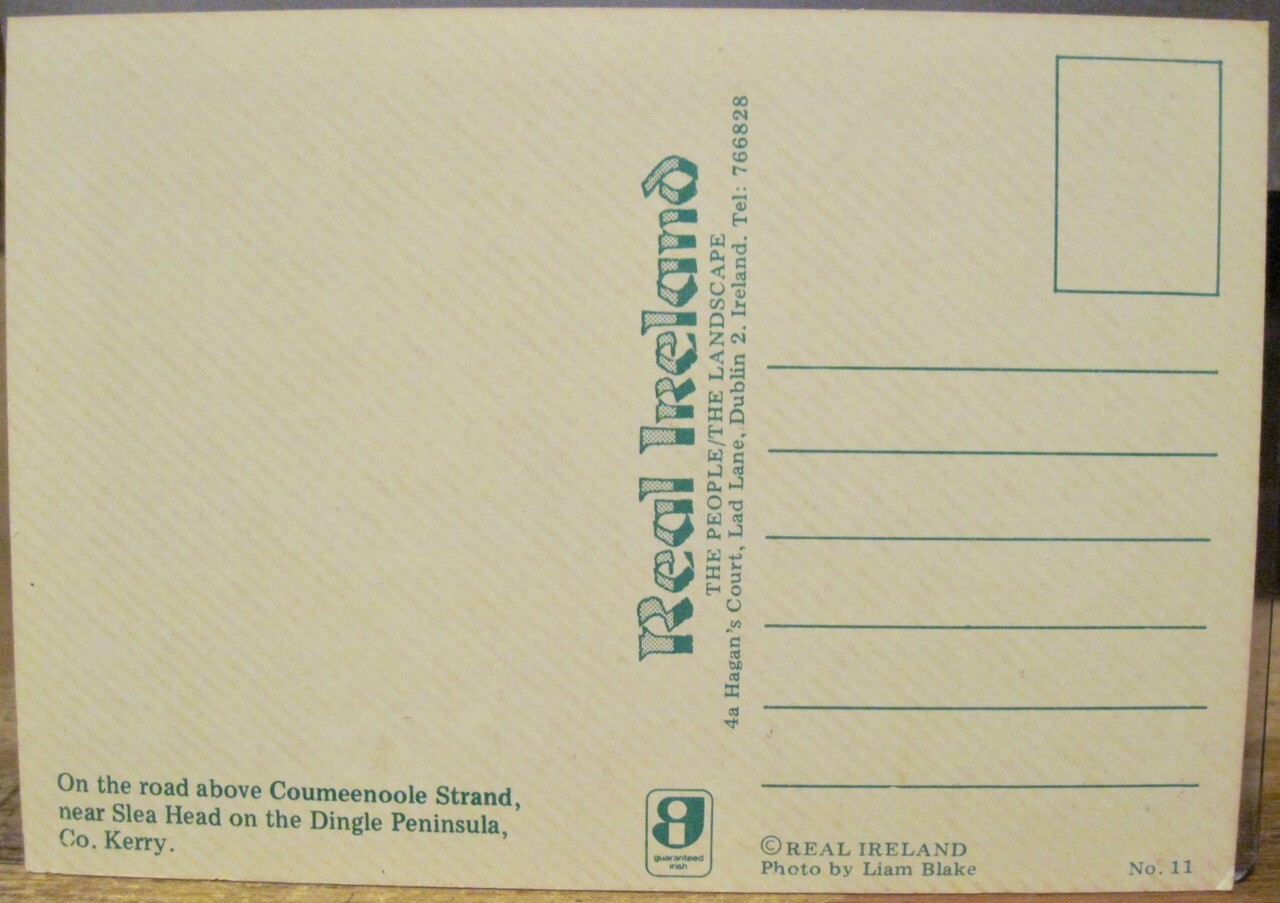 Irish PC COWS COOMEENOOLE Road Slea Head DINGLE Kerry Liam Blake Real Ireland 11