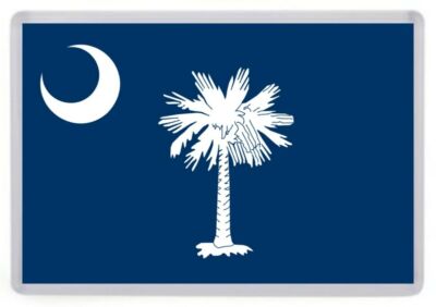 American State Flag Fridge Magnet Choice. California, Florida, Texas, New York