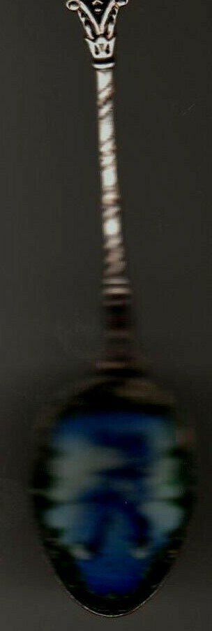 Holland Dutch Blue Boy Tulips Klepa Arts Souvenir Spoon Czechoslovokia Wood Shoe