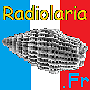 radio_l_r
