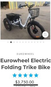 trike eurowheel