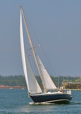 33' Pearson Sailboat