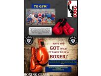 BOXING CLASS - TOGYM, TEMPLE FORTUNE, GOLDERS GREEN, FINCHLEY WITH TRULY EXPERIENCED COACHES