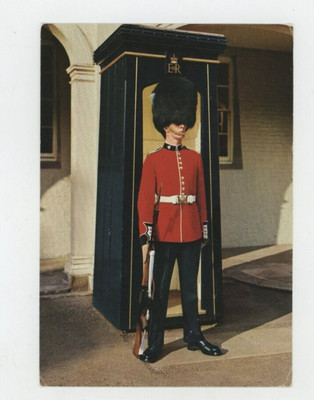Vintage Postcard LONDON  ST. JAMES PLACE  SENTRY OF IRISH GUARDS    UNPOSTED