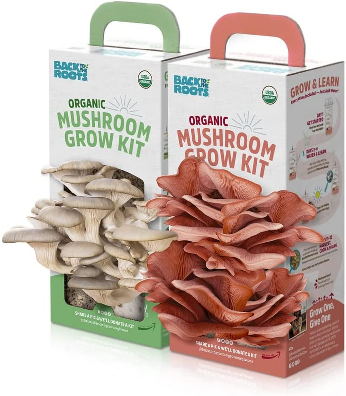 Organic Mushroom Grow Kit - Oyster and Pink Mushroom 2-Pack...