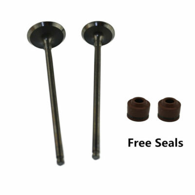 For Kawasaki ZX400 ZZR400 1989-1994 ZX500 ZZ-R500 1990 Intake & Exhaust Valves 