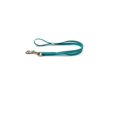 Biothane Grooming Loop for Dog Waterproof 3/8'' x 16'' - Teal