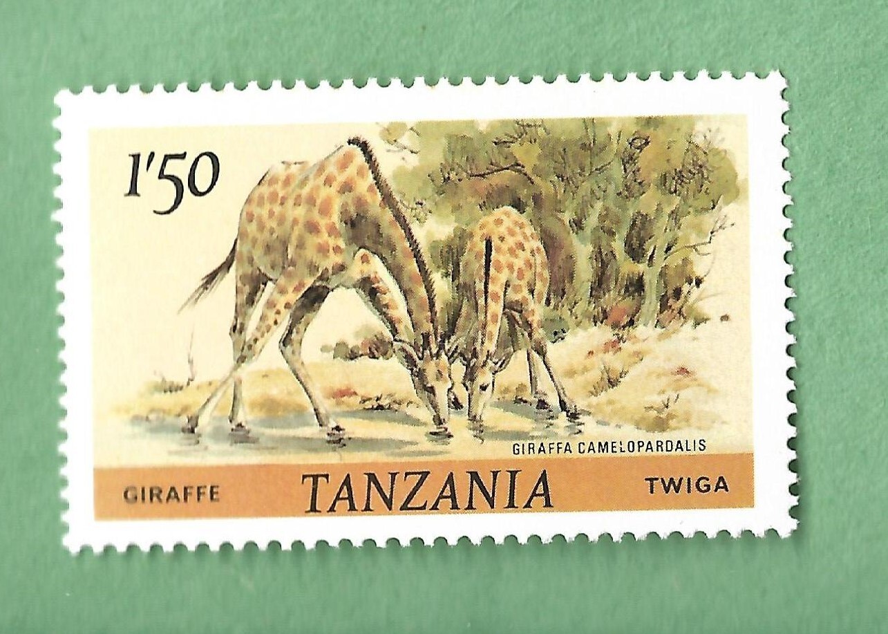 TANZANIA - 1985 - Giraffe ( 