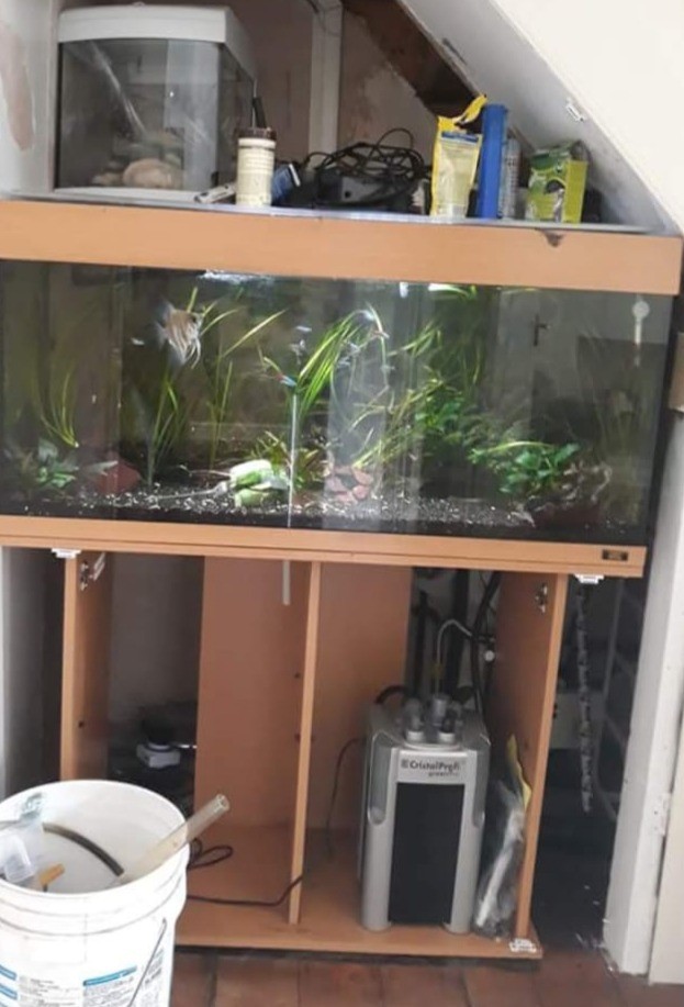 160l Aquarium, Fish tank accessories, 32l hospital Tank and a variety of Fish in Romford