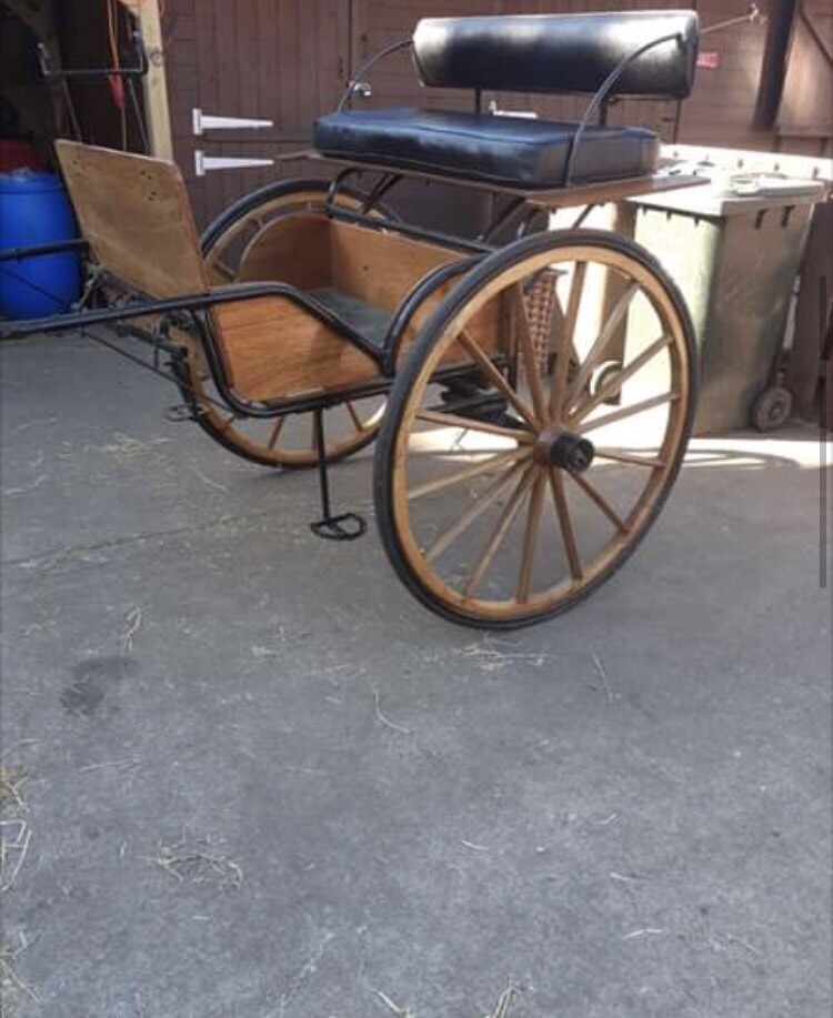 Horse Show Cart in North Shields, Tyne and Wear Gumtree