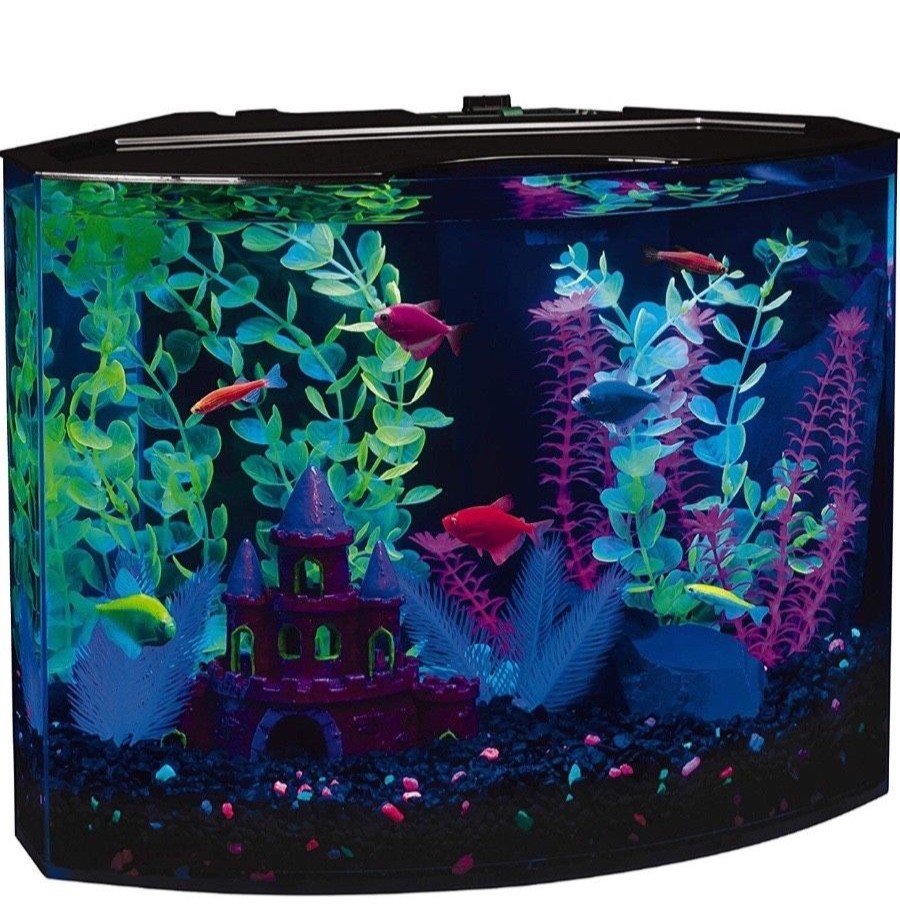 Glofish Aquarium Complete 5 Gallon Tank Fish With LED Light